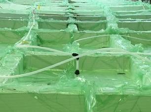 como construir un catamaran de fibra de vidrio